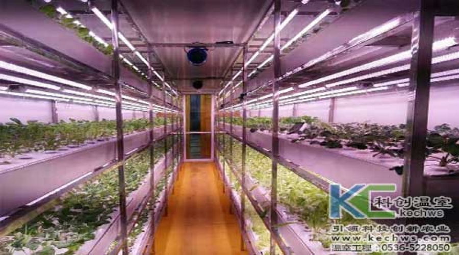 浙江人工光源植物工廠(chǎng)