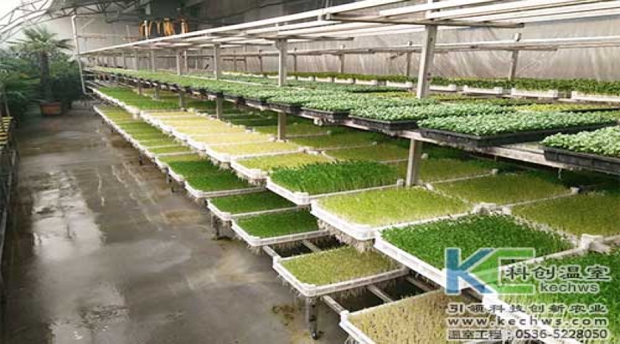 山西呂梁芽苗植物工廠(chǎng)