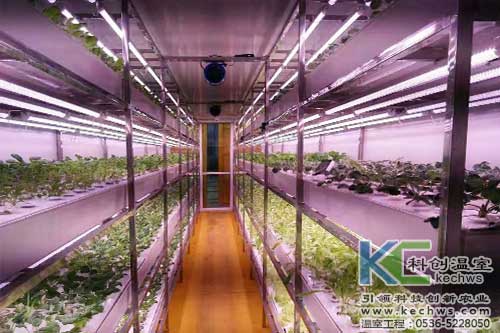 植物工廠(chǎng),無(wú)土栽培