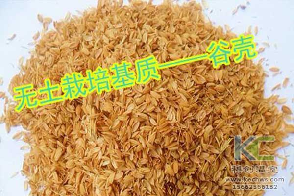 無(wú)土栽培，無(wú)土栽培基質(zhì)