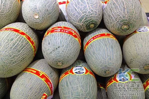 無(wú)土栽培，無(wú)土栽培技術(shù)，無(wú)土栽培設備