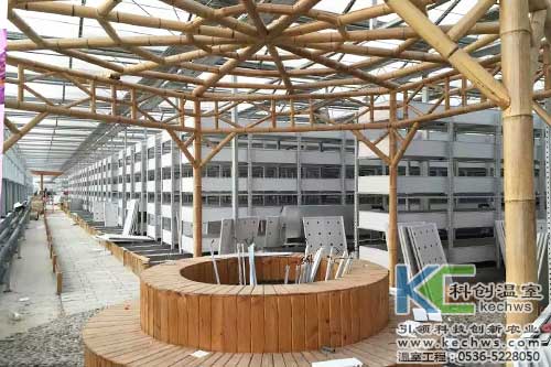 植物工廠(chǎng),無(wú)土栽培