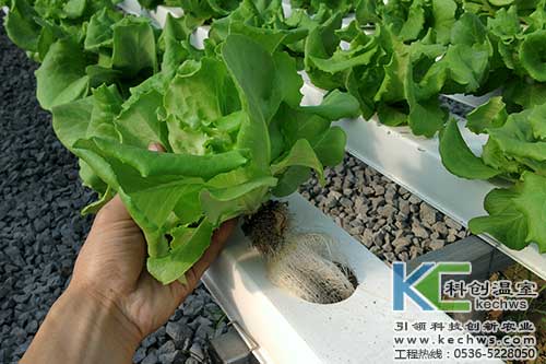 無(wú)土栽培，無(wú)土栽培技術(shù)，無(wú)土栽培設備
