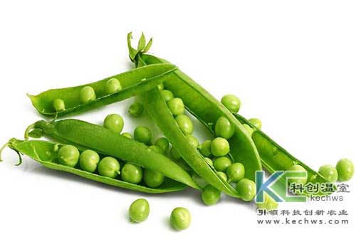 無(wú)土栽培，無(wú)土栽培技術(shù)，無(wú)土栽培設備