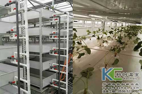 植物工廠(chǎng),無(wú)土栽培