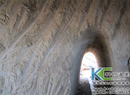 無(wú)土栽培，無(wú)土栽培技術(shù)，無(wú)土栽培設備