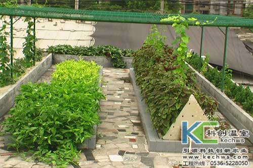 無(wú)土栽培，無(wú)土栽培技術(shù)，無(wú)土栽培設備